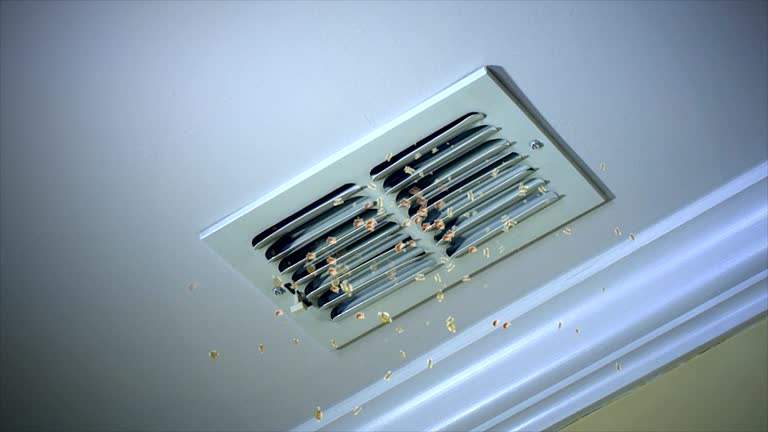 Best Air Duct Cleaning Near Me  in De Soto, MO